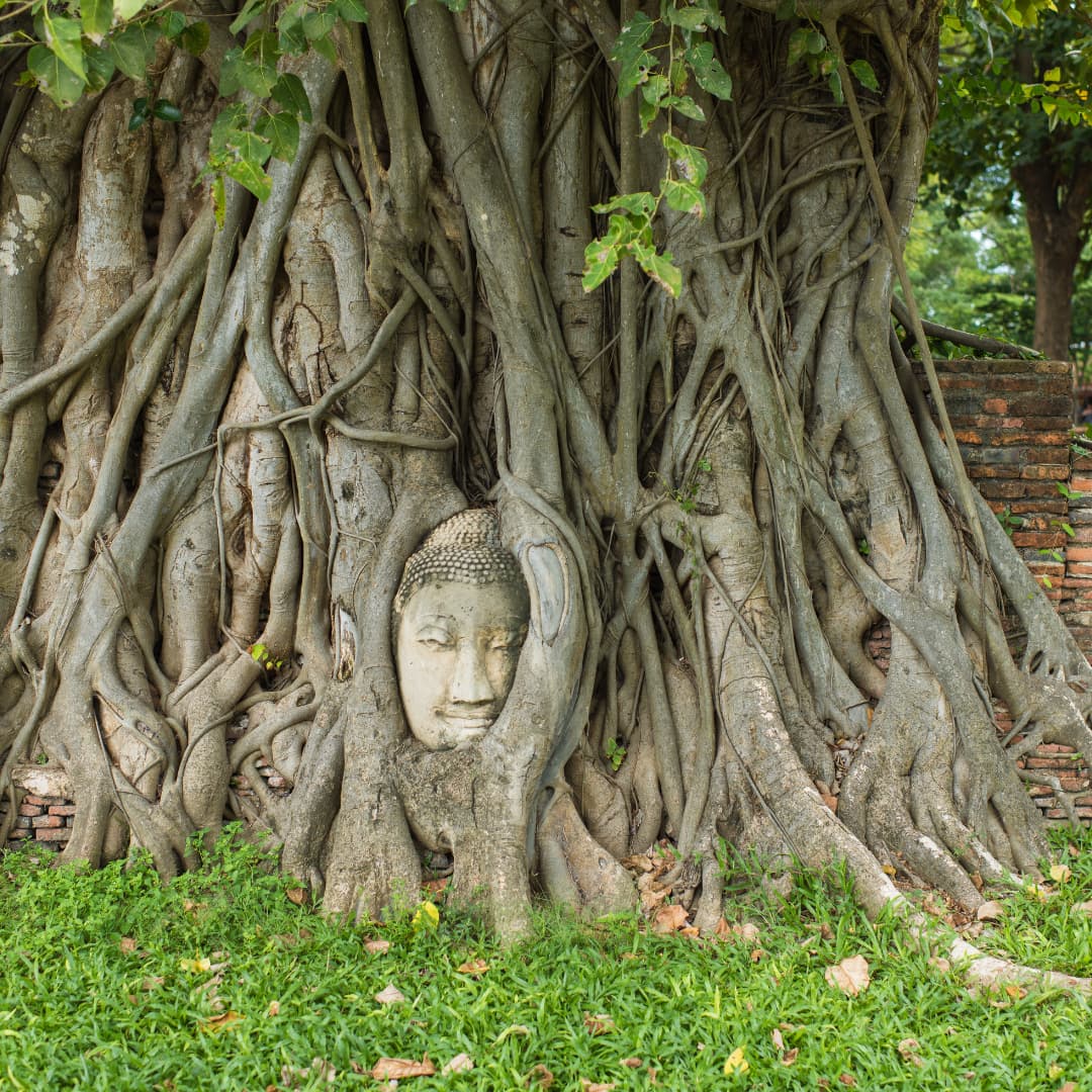 wat mahatat